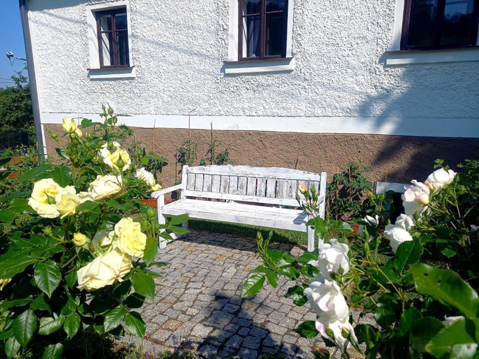 Penzion Pod Sudem Lázně Libverda Exterior foto